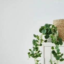 Budget ✔️ Churchgate Churchgate White Matt Emulsion Paint 🛒 -Churchgate Store 30771347 alt04