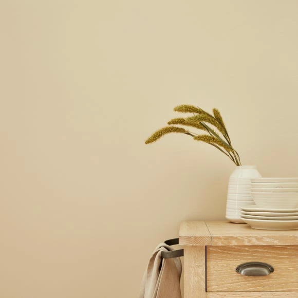 Coupon ๐งจ Churchgate Churchgate Purity Almond Matt Emulsion Paint ๐ 1 Coupon ๐งจ Churchgate Churchgate Purity Almond Matt Emulsion Paint ๐