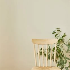 Wholesale ⭐ Churchgate Churchgate Sand Matt Emulsion Paint 😍 -Churchgate Store 30771353 alt04