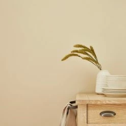 Coupon ✔️ Churchgate Churchgate Purity Almond Eggshell Paint 🎉 -Churchgate Store 30771361 alt03